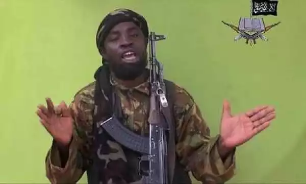 Boko Haram Kingpin Surrenders